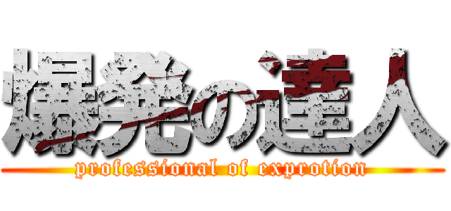 爆発の達人 (professional of exprotion)