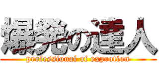 爆発の達人 (professional of exprotion)