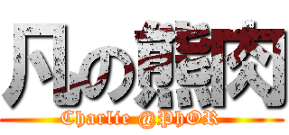 凡の熊肉 (Charlie @PhOR)