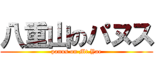 八重山のパヌス (panus on Mt.Yae)