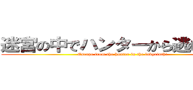 迷宮の中でハンターから逃げ切れ！ (Escape from the hunter in the labyrinth!)