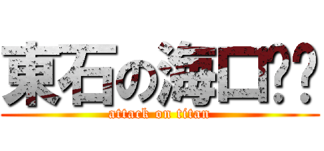 東石の海口囝ㄚ (attack on titan)