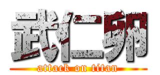 武仁卵 (attack on titan)