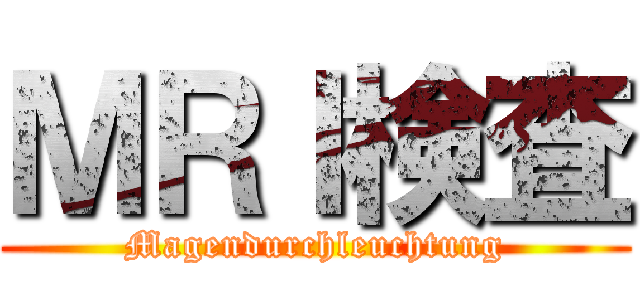 ＭＲＩ検査 (Magendurchleuchtung)