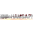 進撃のＨＡＭＳＡＰ聪 (attack on titan)
