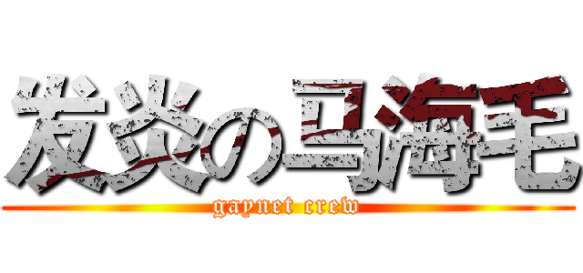 发炎の马海毛 (gaynet crew)