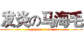 发炎の马海毛 (gaynet crew)