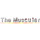 Ｔｈｅ Ｍｕｓｃｕｌａｒ ()