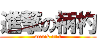 進撃の柄杓 (attack on t)