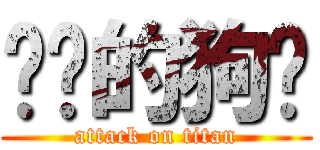 进击的狗鸡 (attack on titan)