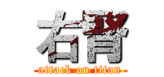 右腎 (attack on titan)