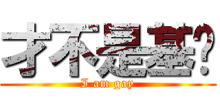 才不是基佬 (I am gay)