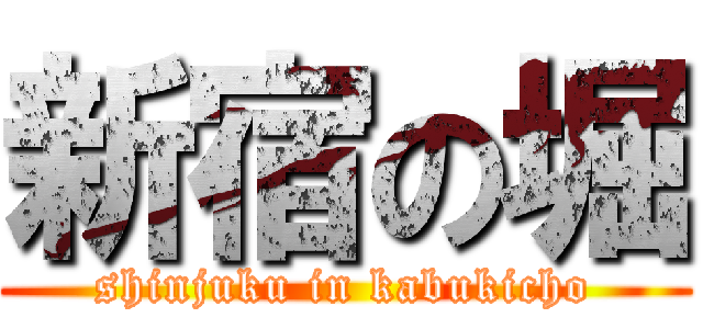 新宿の堀 (shinjuku in kabukicho)