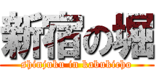 新宿の堀 (shinjuku in kabukicho)