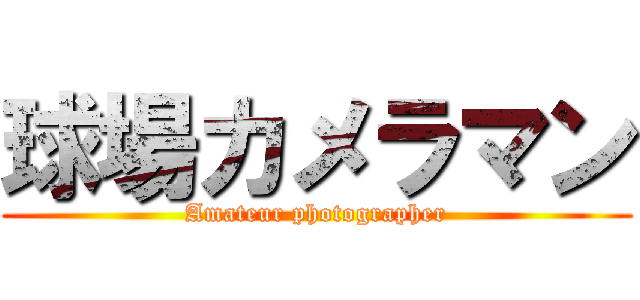 球場カメラマン (Amateur photographer)