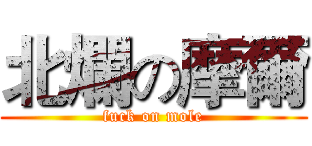 北爛の摩爾 (fuck on mole)