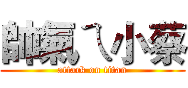帥氣ㄟ小蔡 (attack on titan)