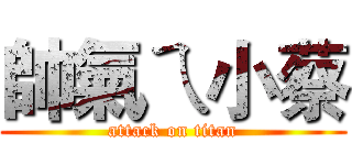 帥氣ㄟ小蔡 (attack on titan)