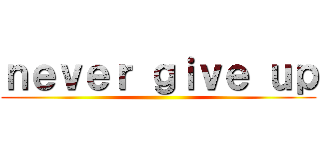 ｎｅｖｅｒ ｇｉｖｅ ｕｐ ()
