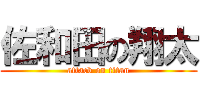 佐和田の翔太 (attack on titan)