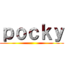 ｐｏｃｋｙ ()