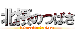 北摂のつばさ (hokusetsu tsubasa)