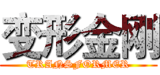 变形金刚 (TRANSFORMER)