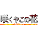 咲くやこの花 (Full bloom)