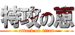 特攻の恵 (attack on titan)