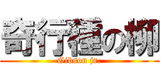 奇行種の柳 (Gibson jr.)