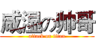 咸湿の帅哥 (attack on titan)
