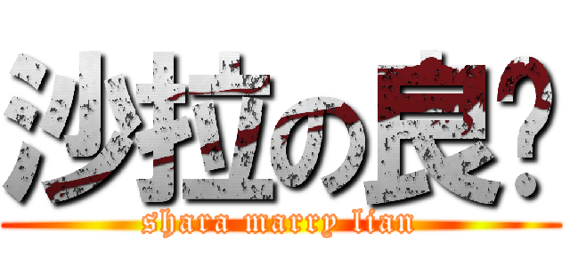 沙拉の良貓 (shara marry lian)