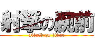 射撃の腕前 (attack on titan)