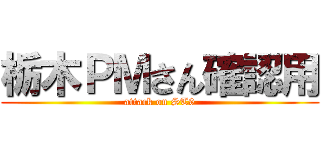 栃木ＰＭさん確認用 (attack on ST9)