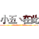 小五丶在此 (attack on titan)