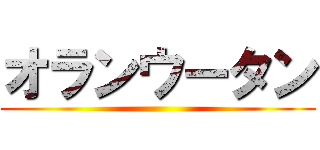 オランウータン ()