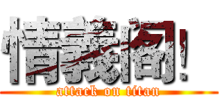 情義阁！ (attack on titan)