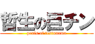 哲生の巨チン (penis of testunama)