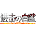 进击の白鲨 (attack on White shark )