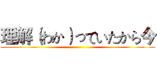 理解（わか）っていたから今 ()