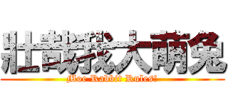 壯哉我大萌兔 (Moe Rabbit Rules!)