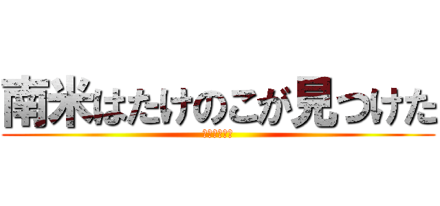 南米はたけのこが見つけた (異論は認めん)