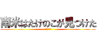 南米はたけのこが見つけた (異論は認めん)