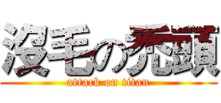 沒毛の禿頭 (attack on titan)