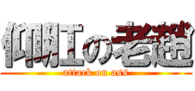仰肛の老趙 (attack on ass)