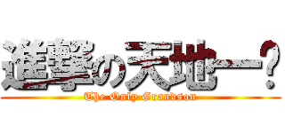 進撃の天地一孙 (The Only Grandson)