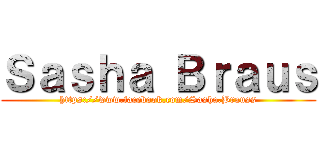Ｓａｓｈａ Ｂｒａｕｓ (https://www.facebook.com/Sasha.Brauss)