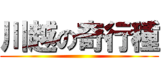 川越の奇行種 ()