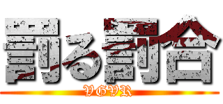 罰る罰合 (VGVR)