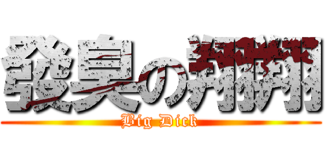 發臭の翔翔 (Big Dick)